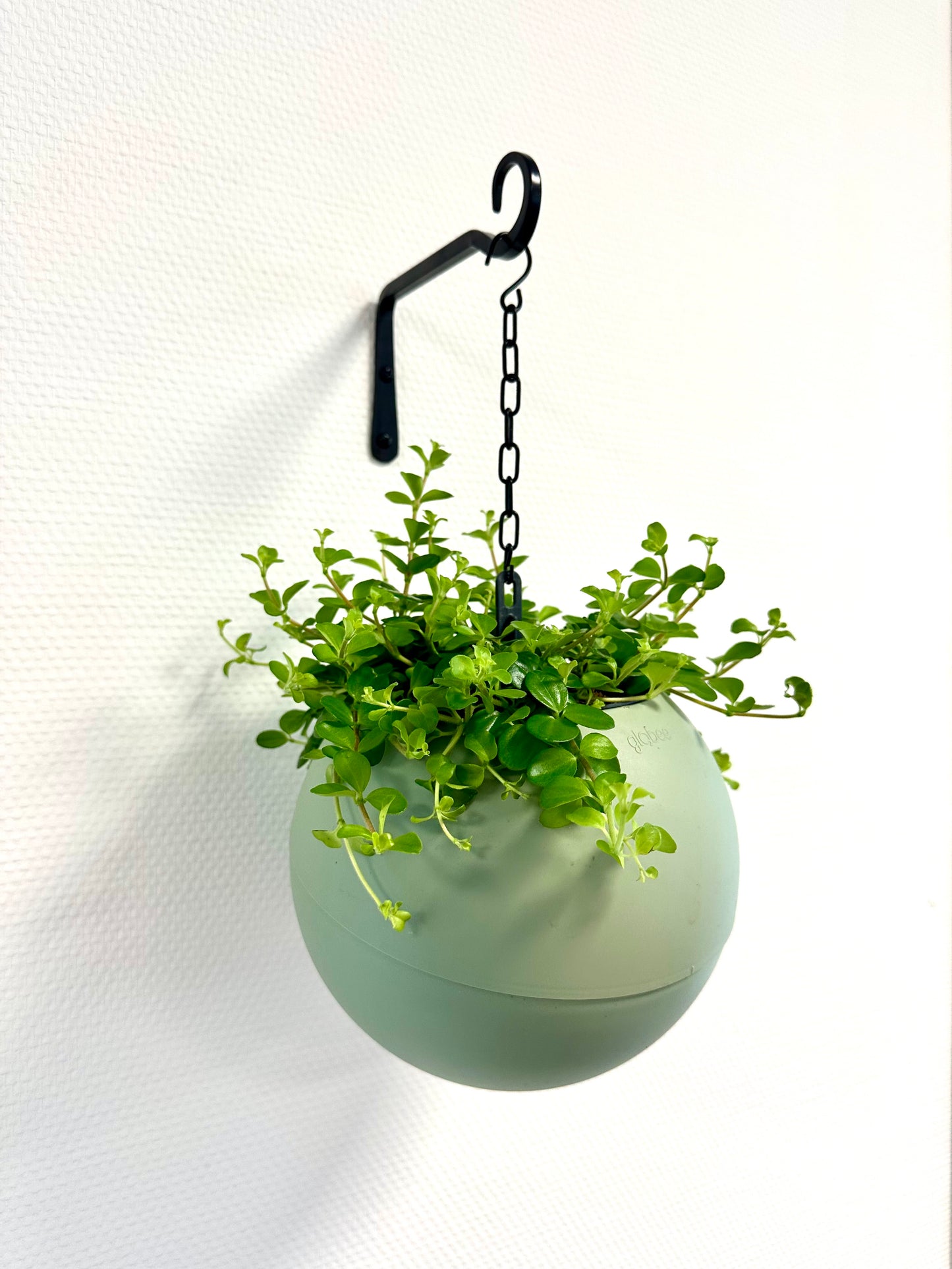 Wall hook 15cm, black with screws and plugs.