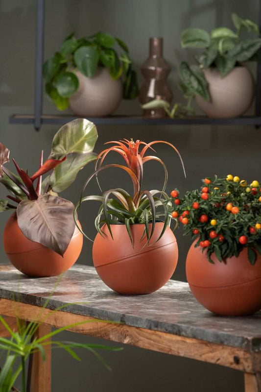 Globee Terracotta plantenpot on-geassembleerd met natuurlijke terracotta uitstraling