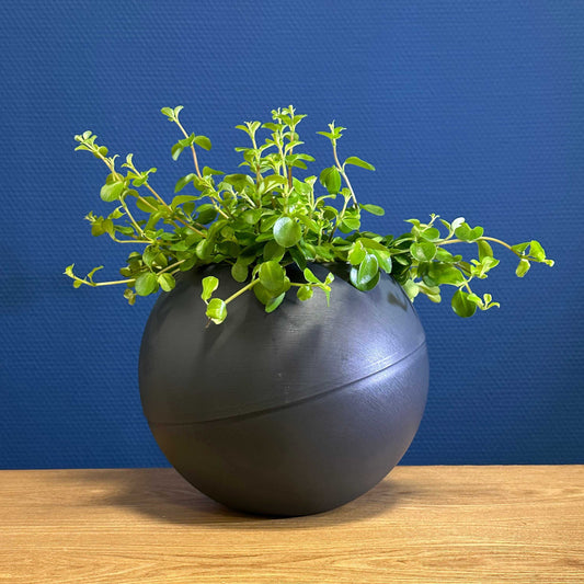 Moderne matte antracietkleurige Globee plantenpot voor stijlvol interieur
