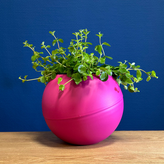 roze Globee Pink plantenpot modern en vrolijk interieuraccent