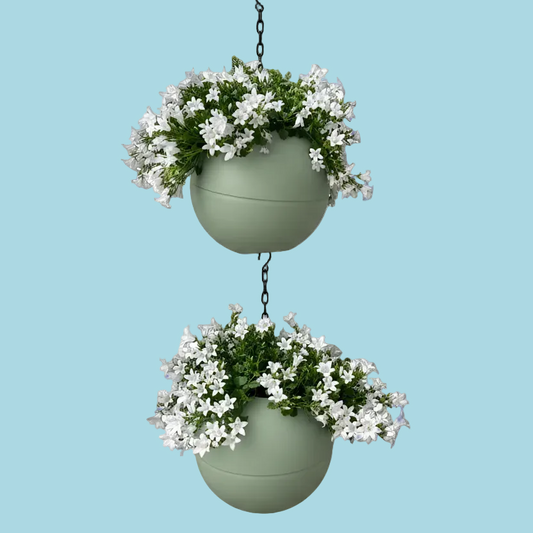 Gladde olijfgroene Globee Olive plantenpot voor urban jungle en interieurdecoratie