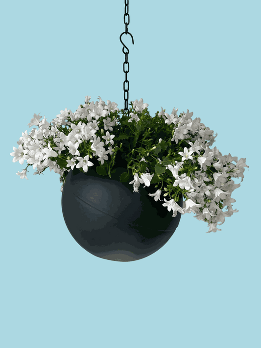 moderne Globee Antraciet plantenpot in matte antracietkleur voor strak interieur