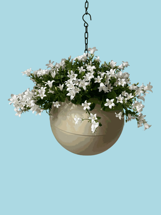 Globee Sand sand-colored versatile plant pot enhancing indoor and outdoor decor