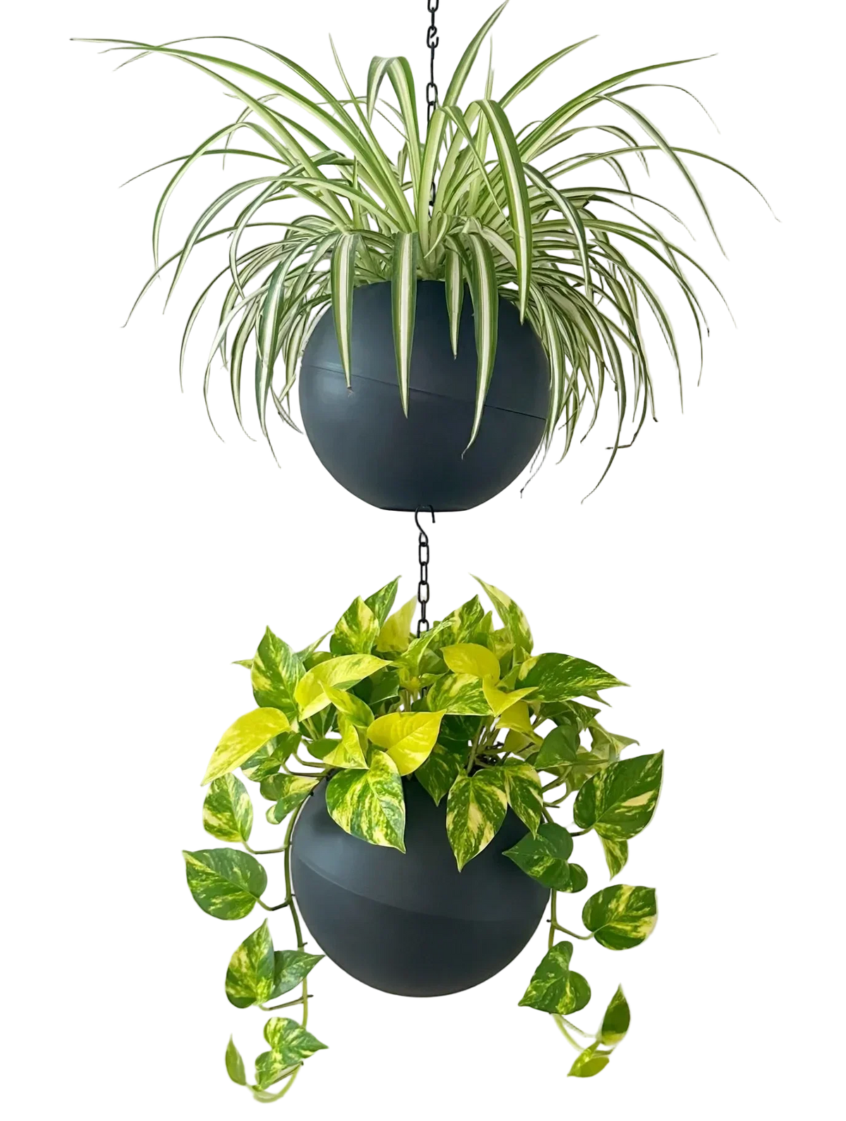 Globee® Anthrazit