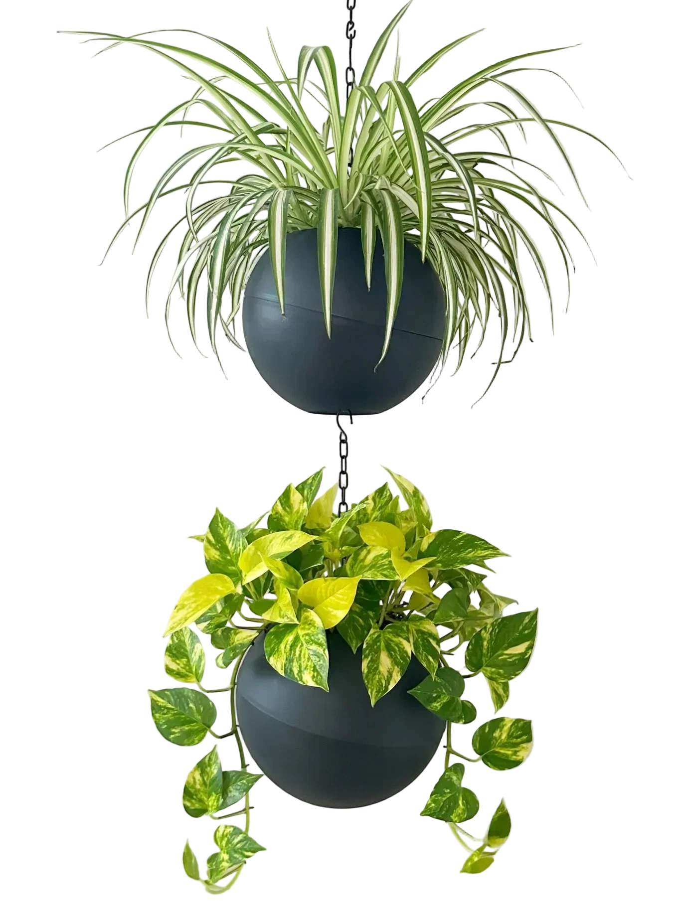 Moderne Globee Antraciet plantenpot met matte antracietkleur voor interieurdecoratie