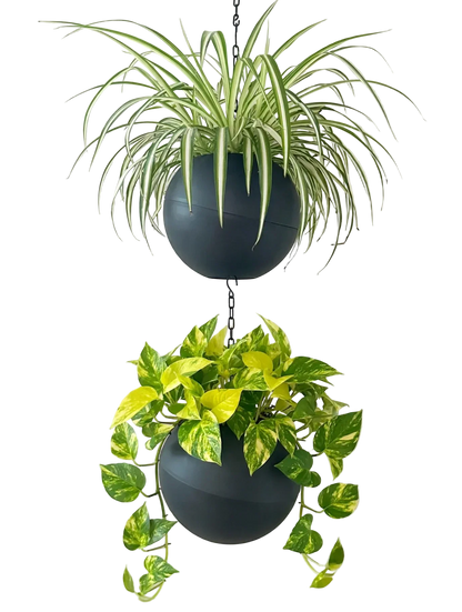 Moderne Globee Antraciet plantenpot met matte antracietkleur voor interieurdecoratie