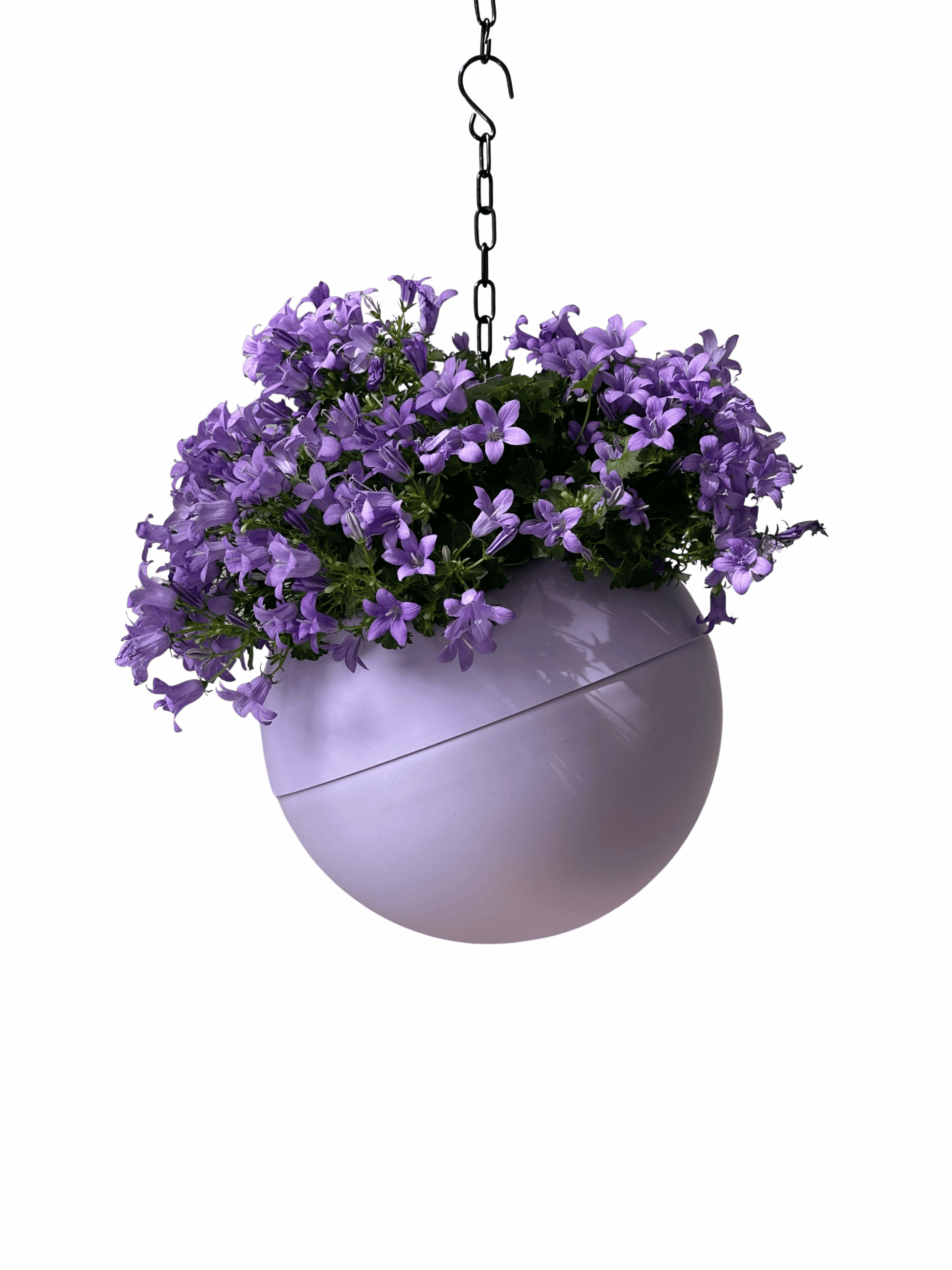 lilac plant pot Globee® Lilac