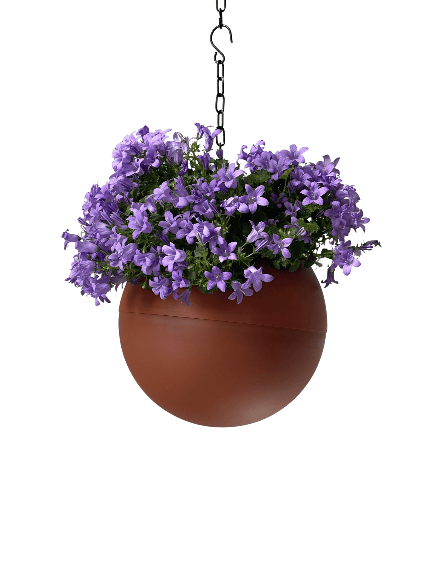 stijvolle Globee Terracotta plantenpot in warme terracottakleur met rustiek design