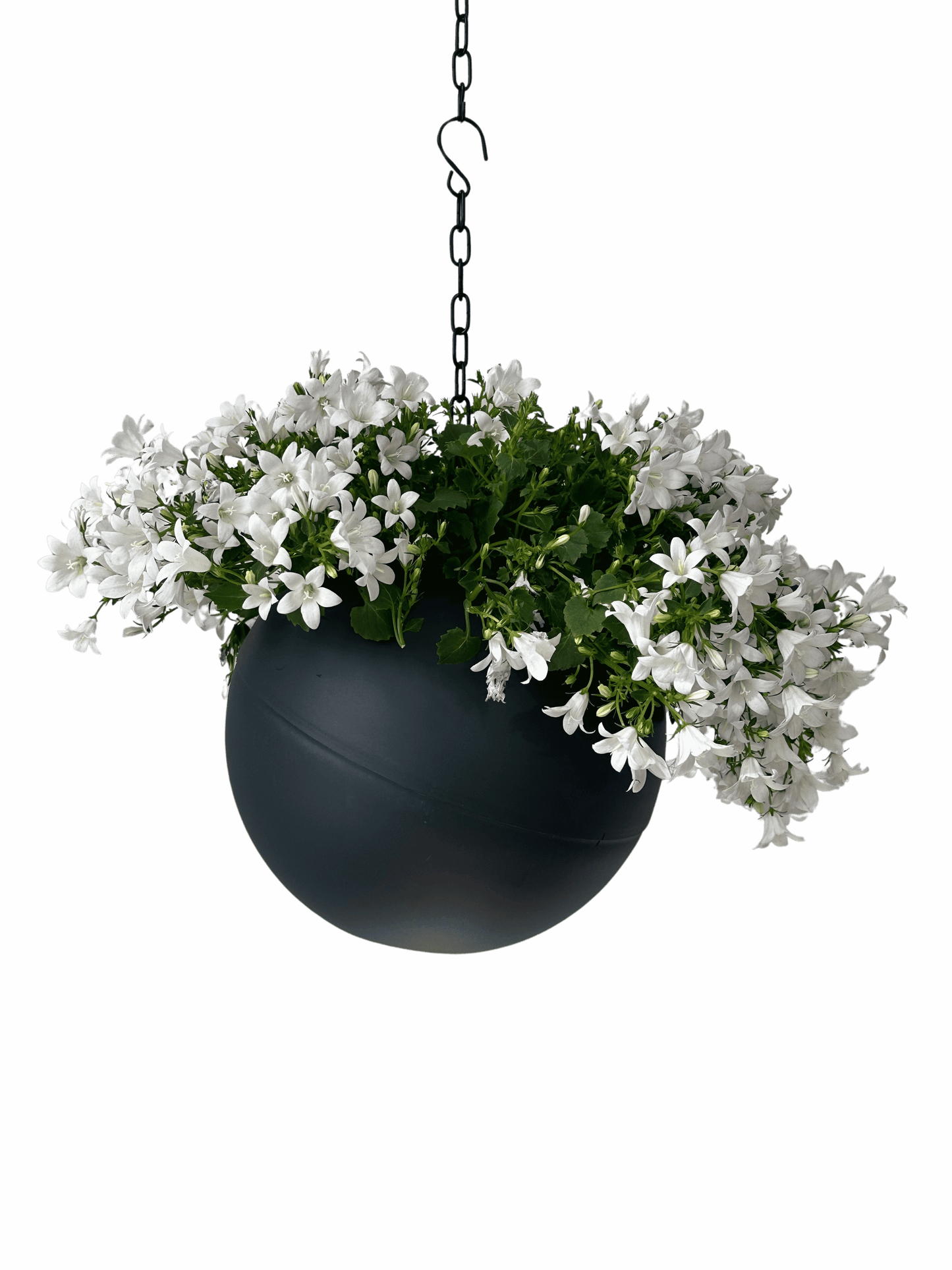 strakke Globee Antraciet plantenpot in matte antracietkleur voor modern interieur