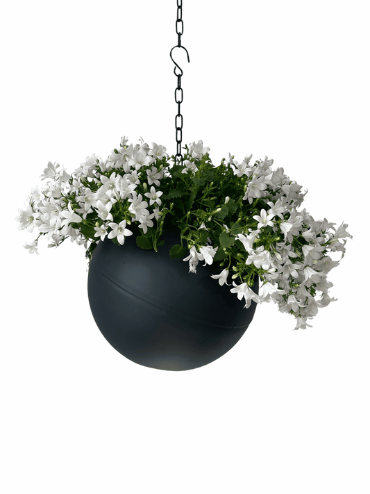 strakke Globee Antraciet plantenpot in matte antracietkleur voor modern interieur
