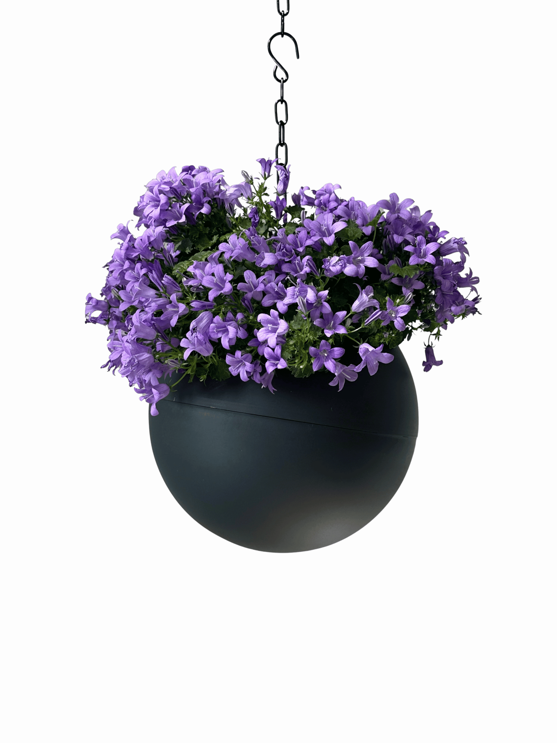 Strakke matte antraciet plantenpot Globee Antraciet voor modern interieur