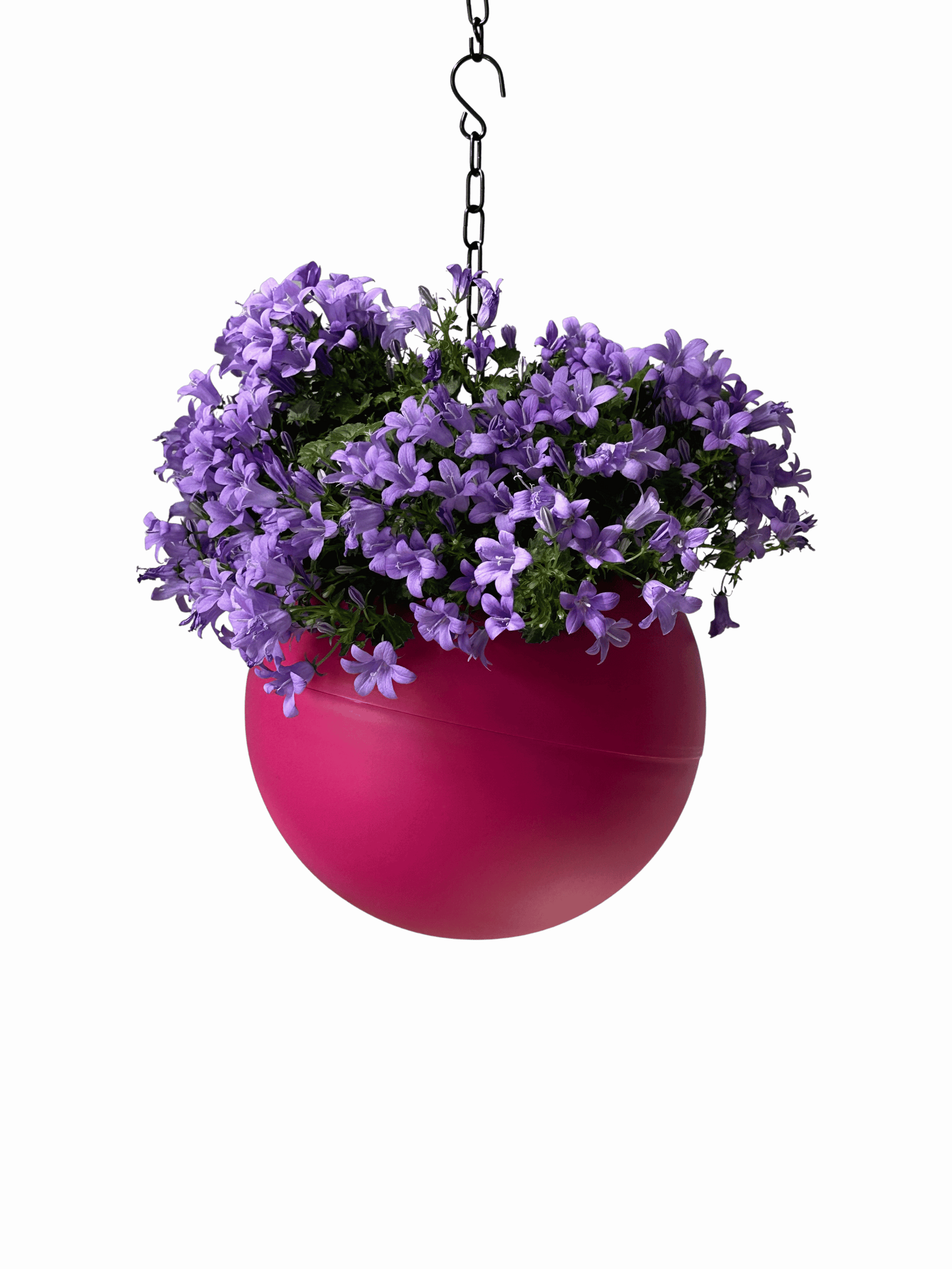 Levendige roze plantenpot Globee Pink voor trendy interieuraccenten