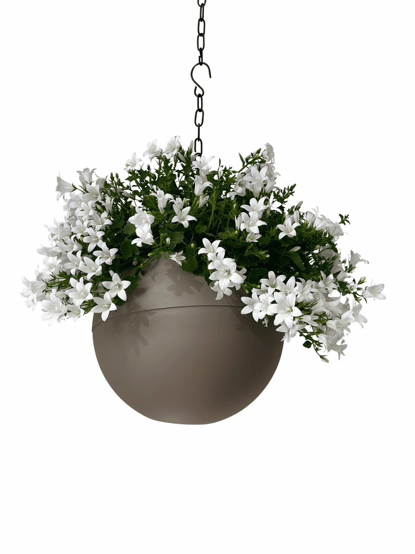 Stoere Globee Taupe plantenpot in matte antraciet voor modern interieur