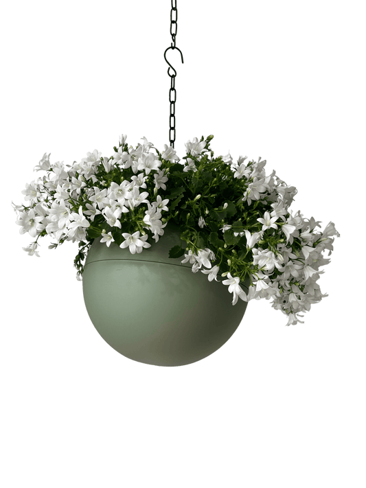 Elegante olijfgroene Globee Olive plantenpot voor binnen en kantoor