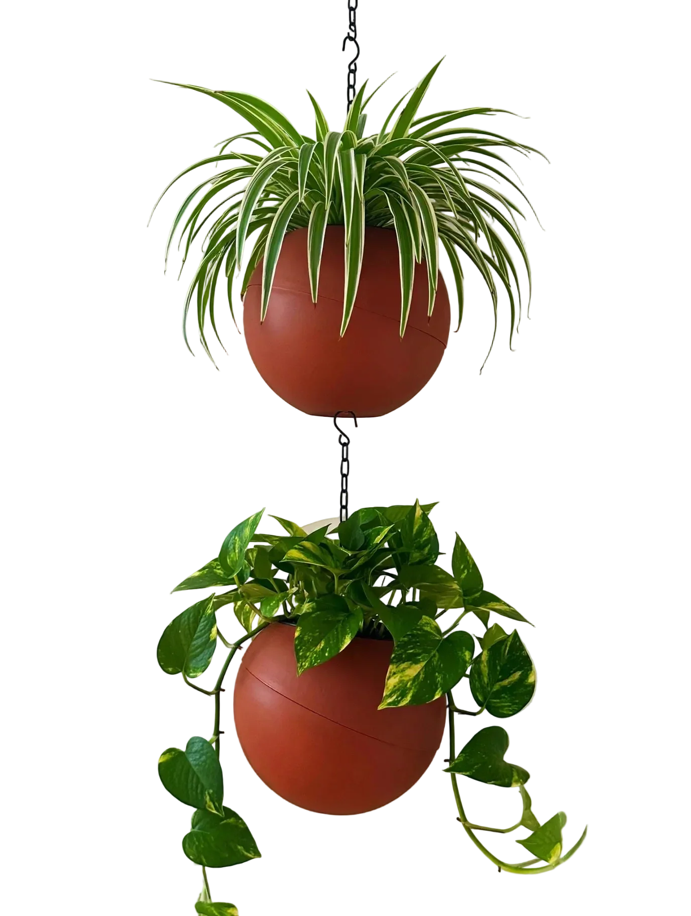 Globee Terracotta plantenpot met warme terracottakleur en rustiek design voor binnen en buiten