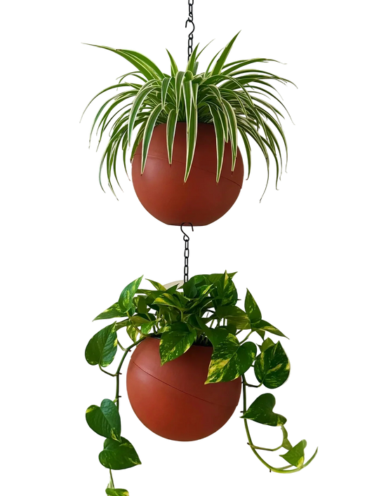 Globee Terracotta plantenpot met warme terracottakleur en rustiek design voor binnen en buiten