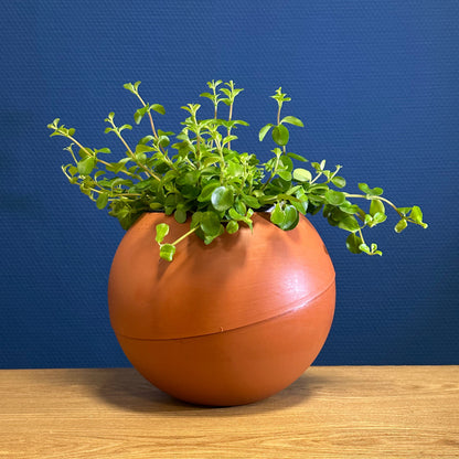 Globee Terracotta