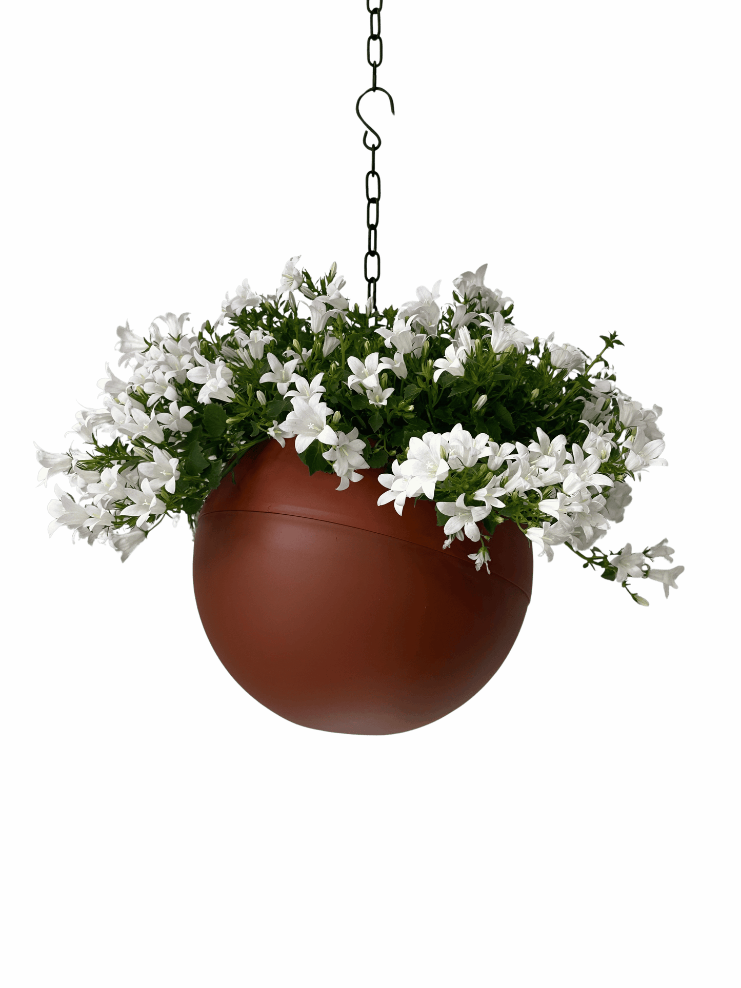 Terracotta plantenpot Globee Terracotta met warme, natuurlijke uitstraling voor binnen en buiten