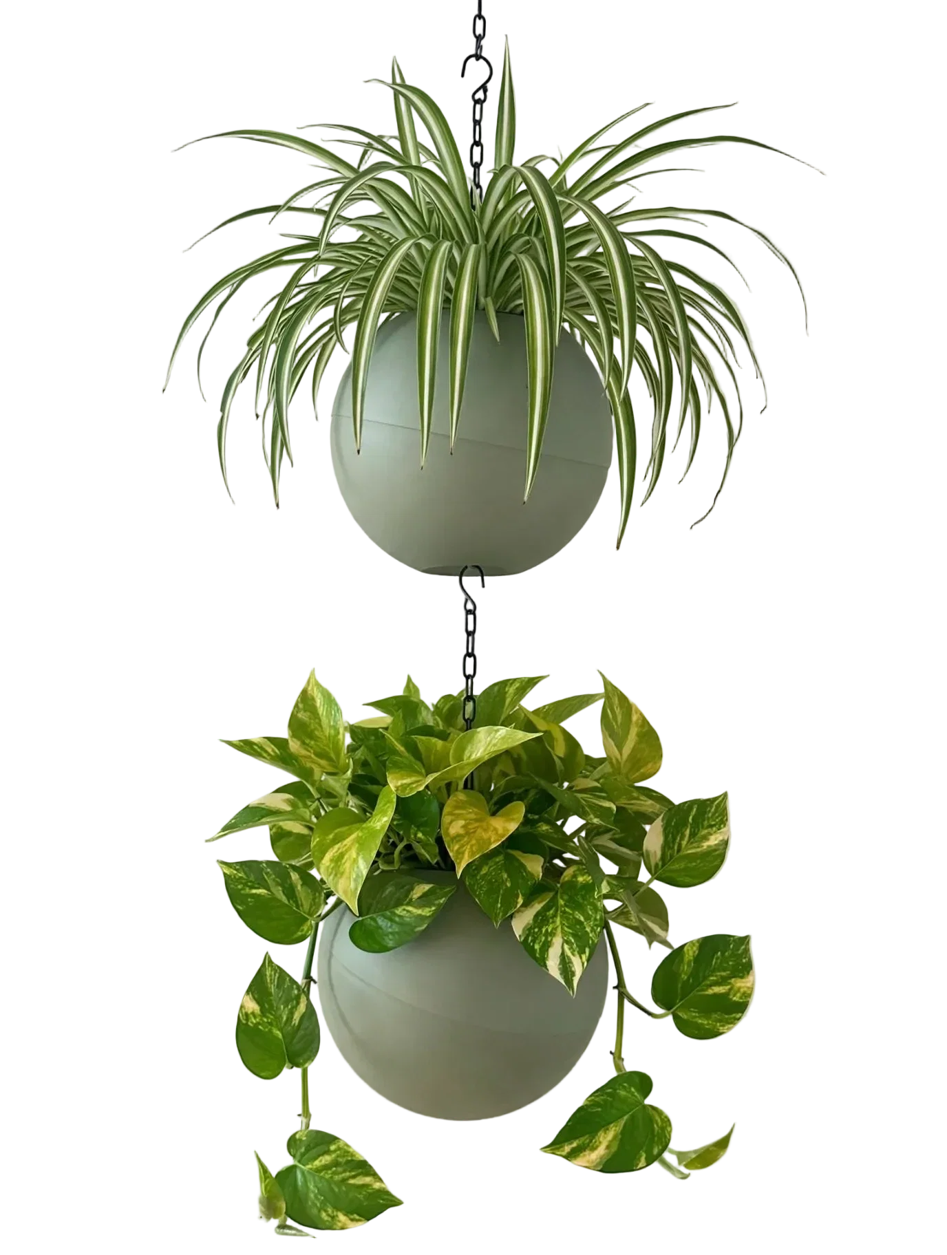 Moderne Globee Olive plantenpot in zachte olijfgroene tint voor binnengebruik