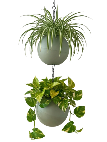 Moderne Globee Olive plantenpot in zachte olijfgroene tint voor binnengebruik