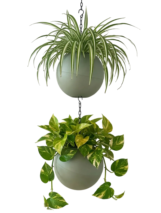 Moderne Globee Olive plantenpot in zachte olijfgroene tint voor binnengebruik