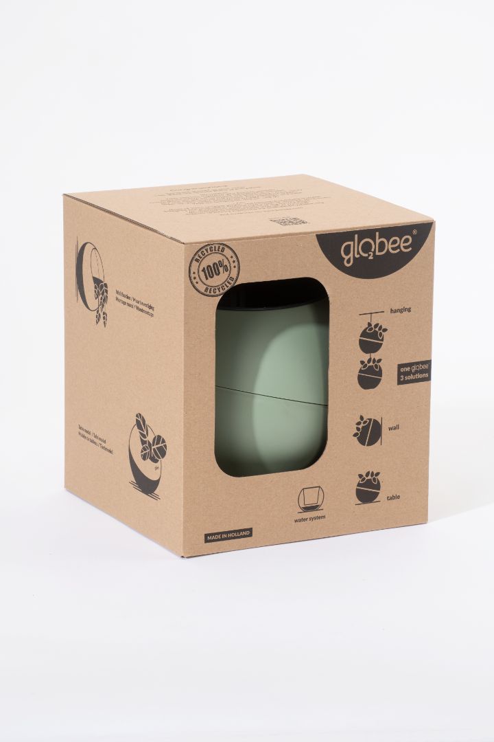 Globee Olive