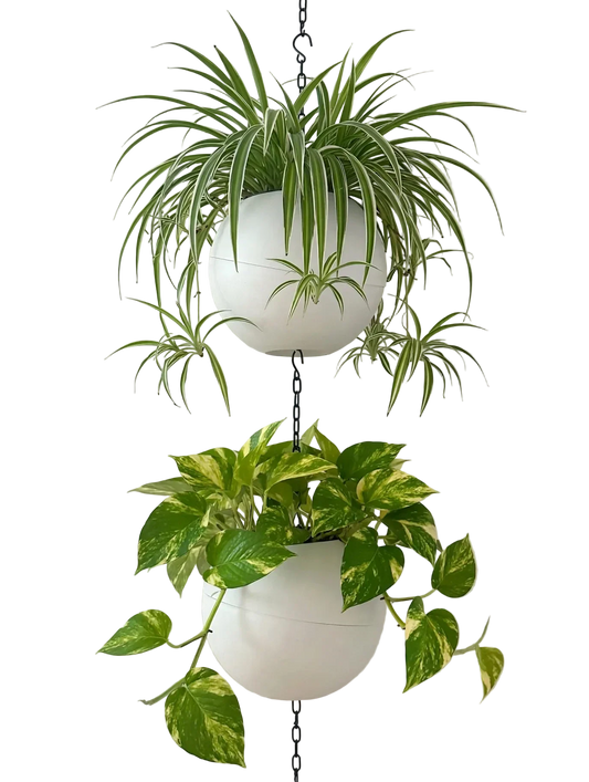 Strakke witte Globee White plantenpot voor modern en minimalistisch interieur