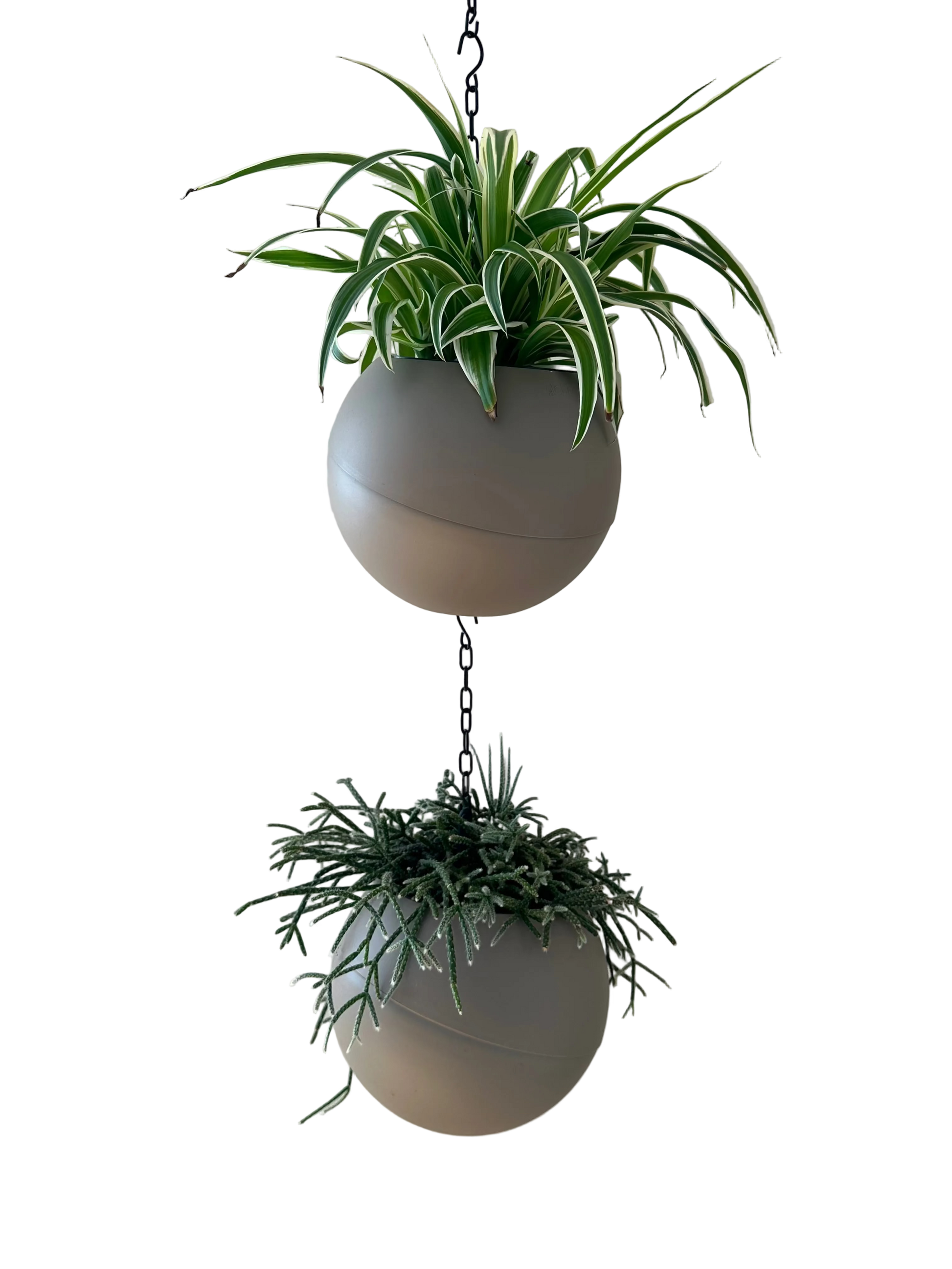 Moderne matte Globee Taupe plantenpot in antraciet, strak en sfeervol voor interieurdecoratie