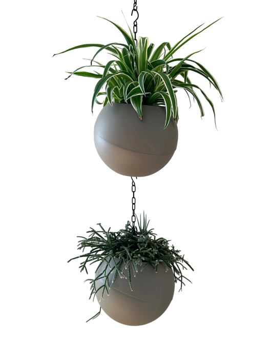 Moderne matte Globee Taupe plantenpot in antraciet, strak en sfeervol voor interieurdecoratie