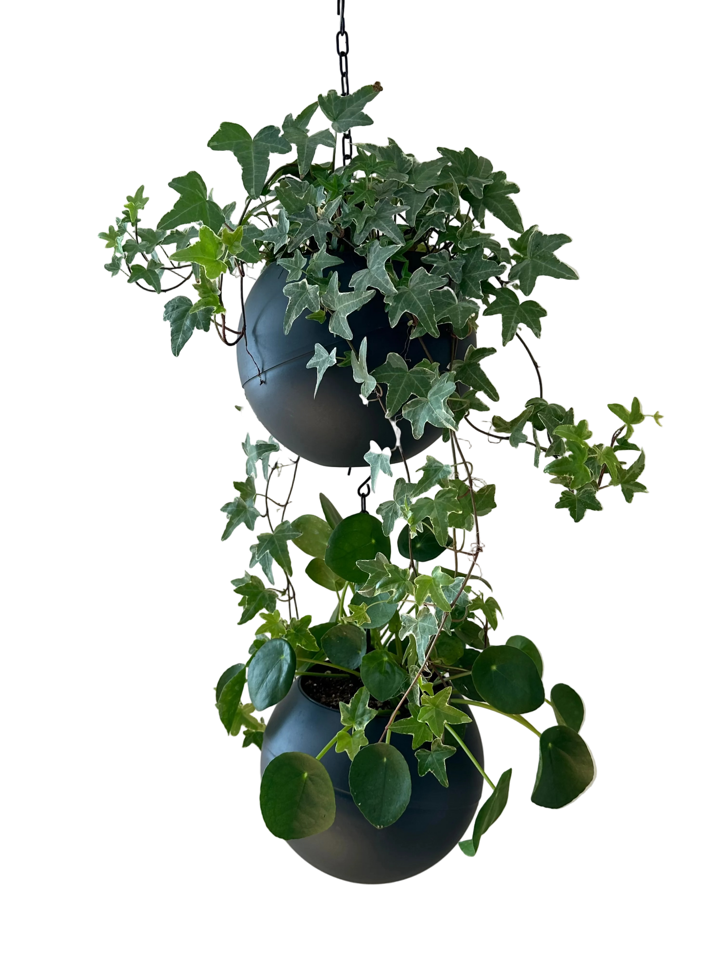 strakke matte Globee Antraciet plantenpot voor modern interieur