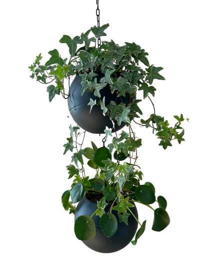 strakke matte Globee Antraciet plantenpot voor modern interieur