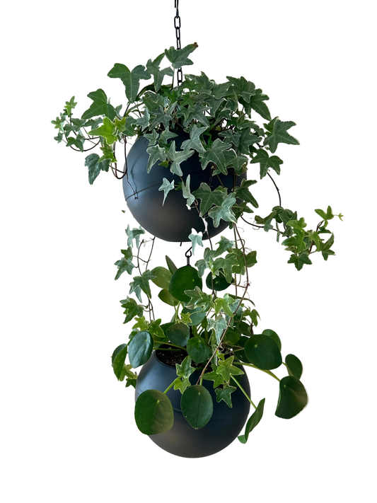 strakke matte Globee Antraciet plantenpot voor modern interieur