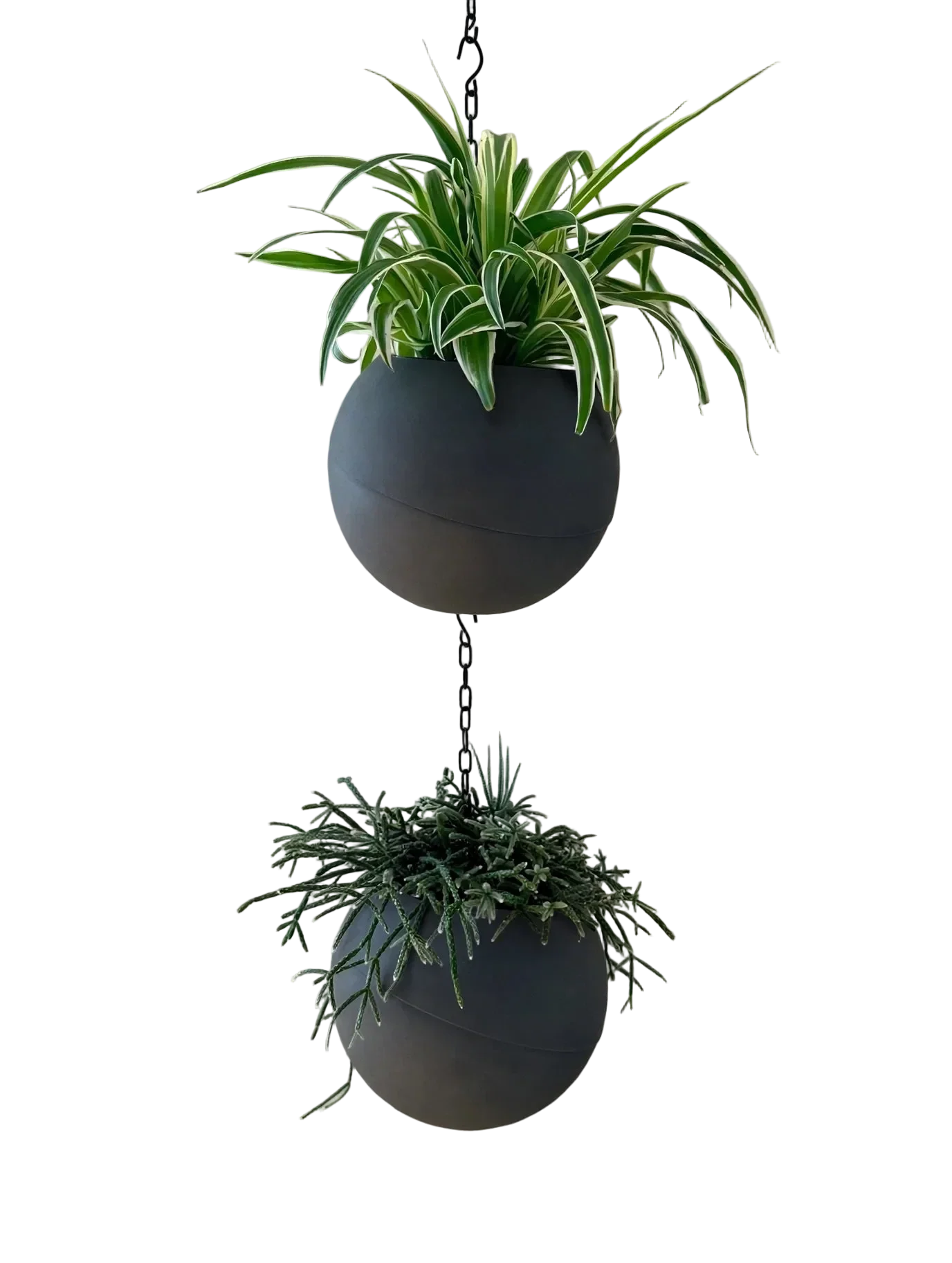 Matte antraciet plantenpot Globee Antraciet voor modern interieur