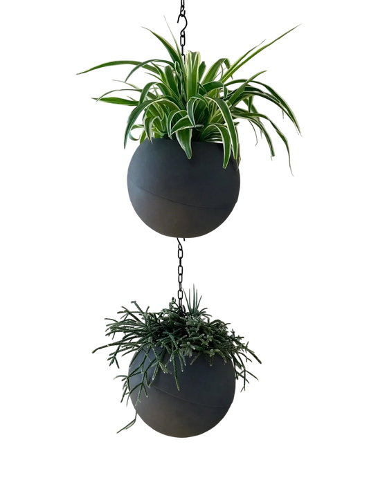 Matte antraciet plantenpot Globee Antraciet voor modern interieur