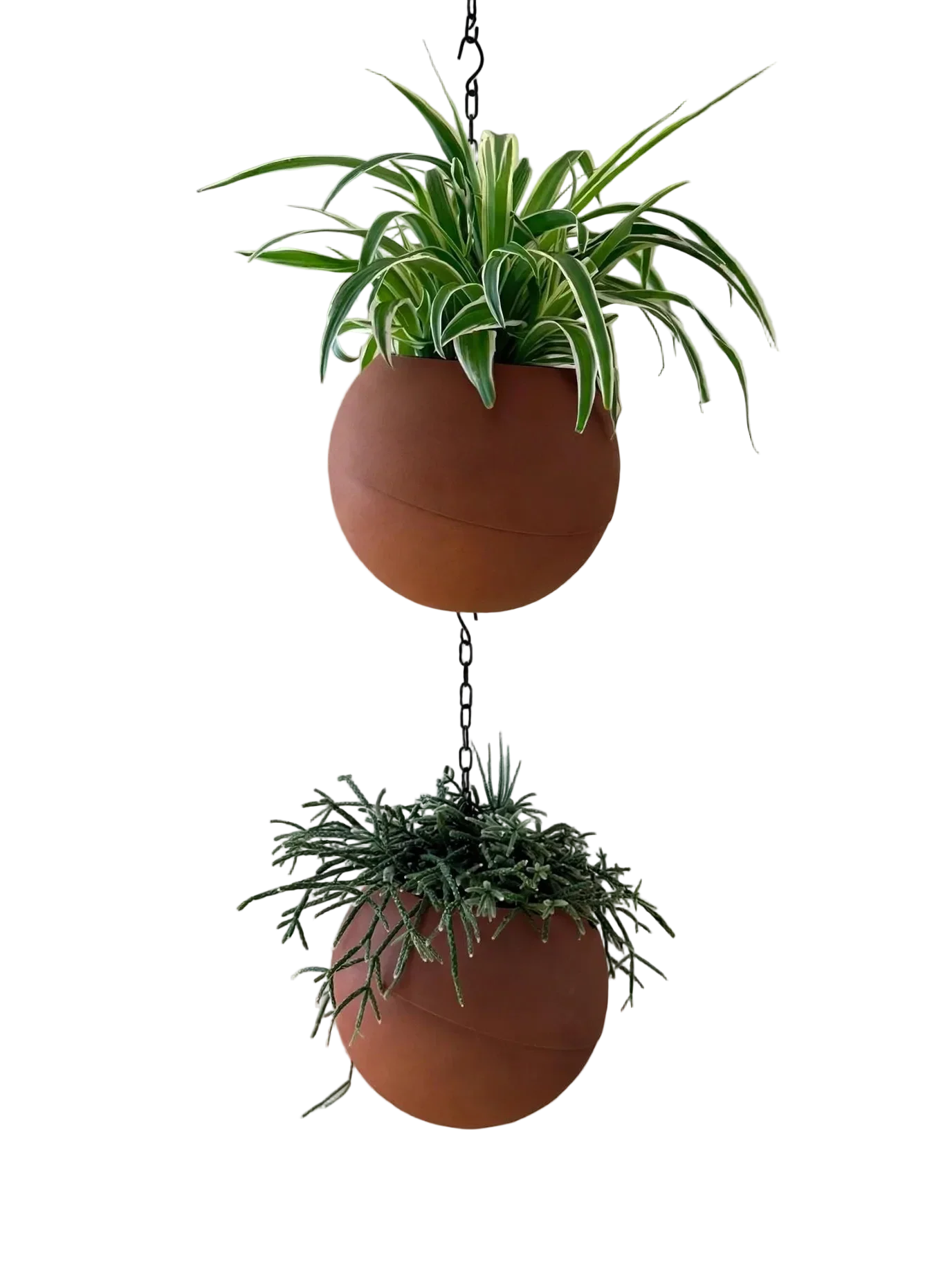 Globe terracotta plantenpot met warme, natuurlijke uitstraling voor binnen en buiten