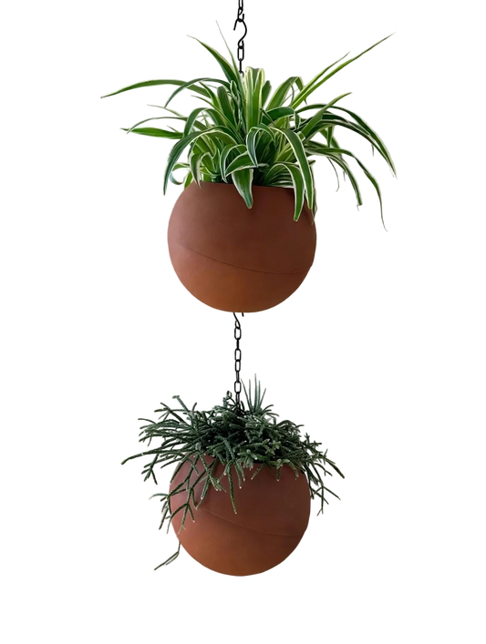 Globe terracotta plantenpot met warme, natuurlijke uitstraling voor binnen en buiten