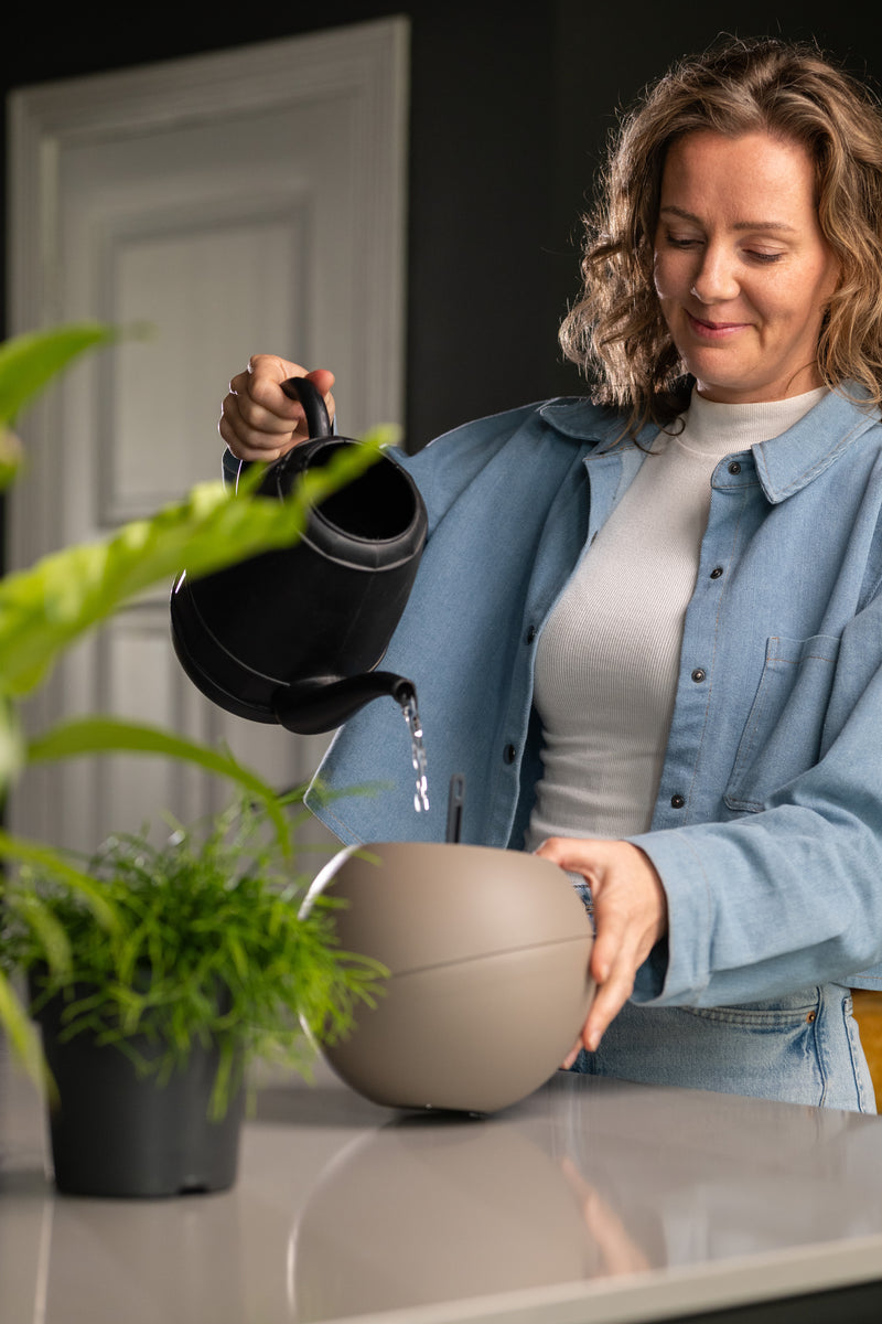 Binnenpot met waterreservoir