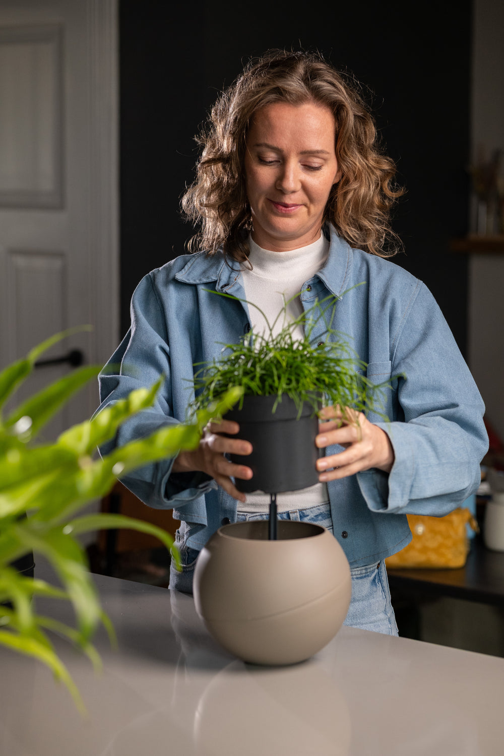 Stap 1: ophangsysteem vastzetten en plant plaatsen