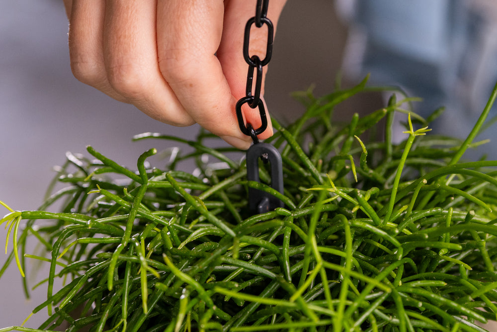 Stap 2: ketting bevestigen