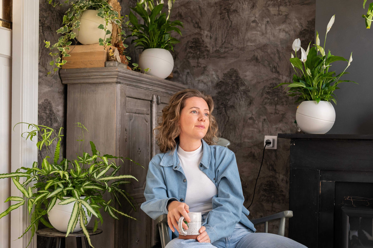 Globee plantenpot in modern interieur