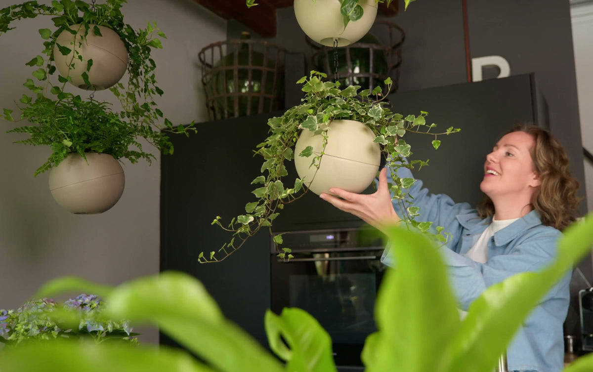 Vrouw hangt lachend een Globee met klimop op in een keuken
