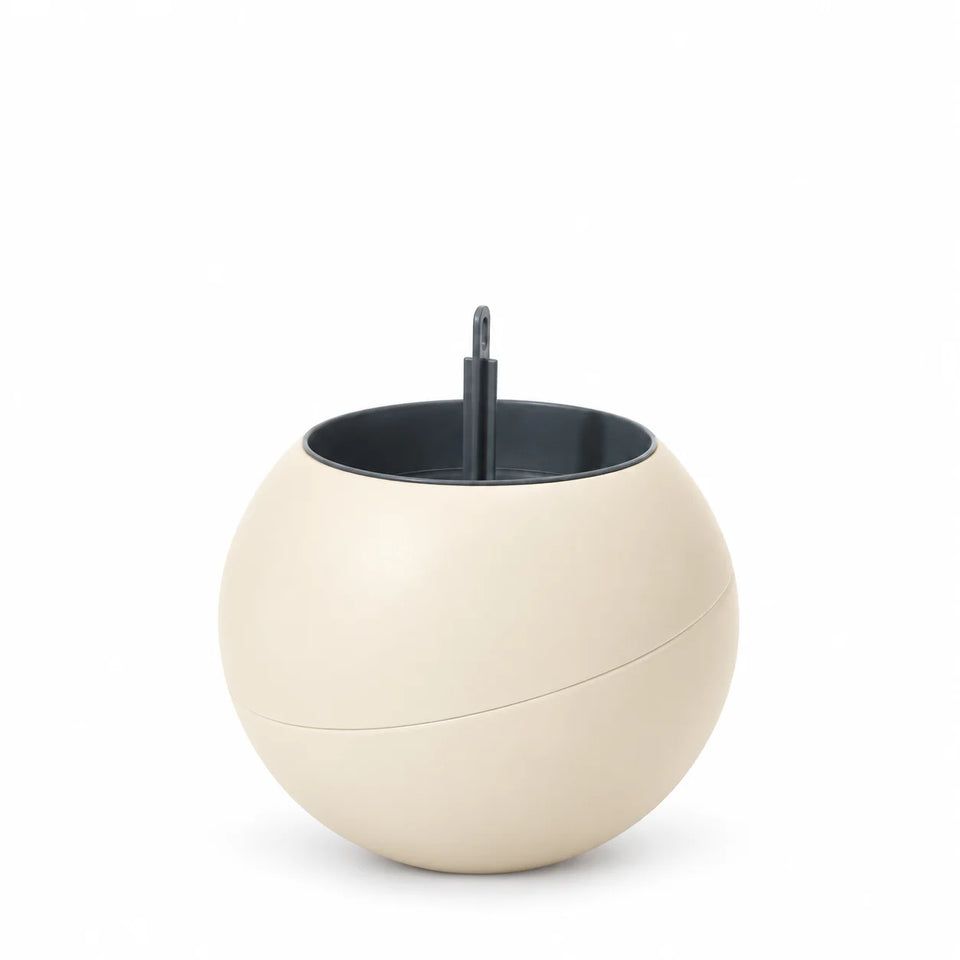 Globee Sand, zonder plant