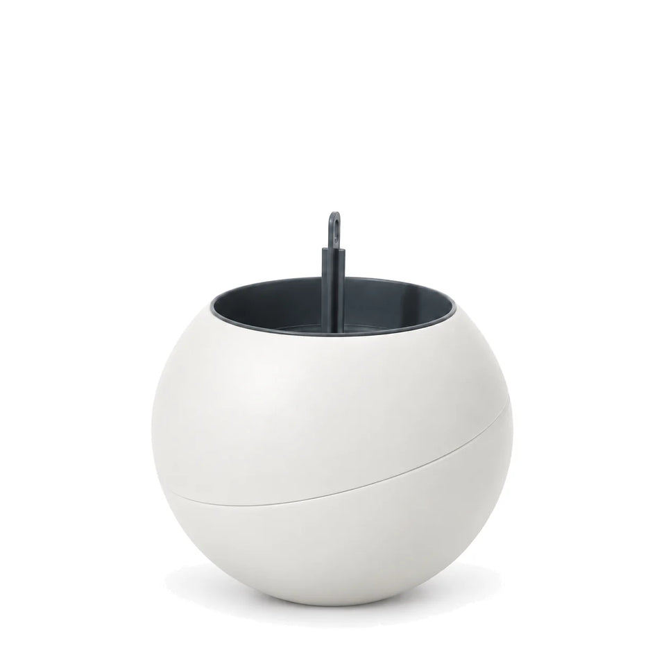 Globee White, zonder plant