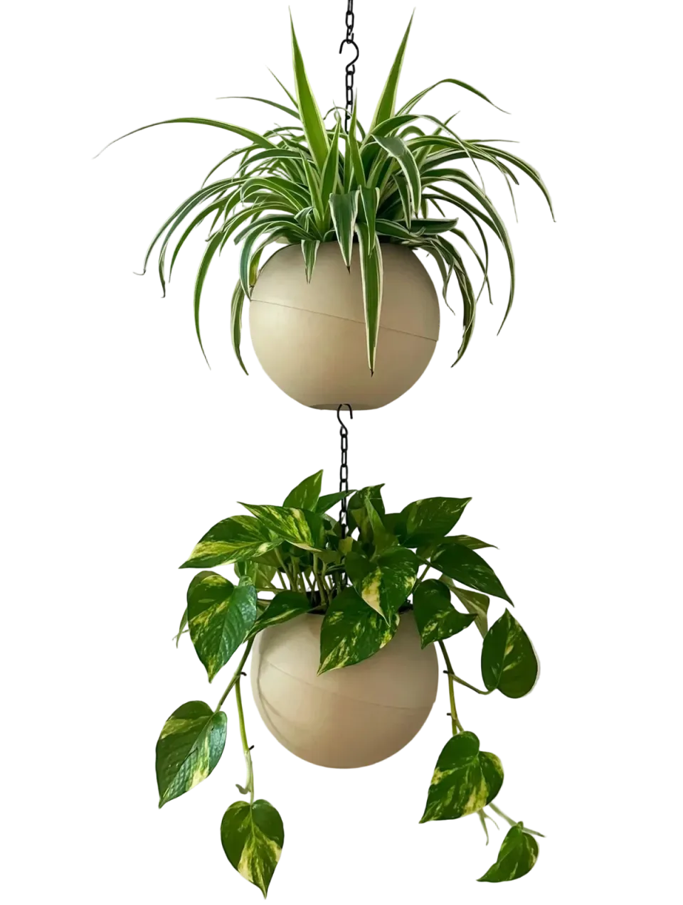 Twee Globees Sand met hangplanten, onder elkaar aan een ketting