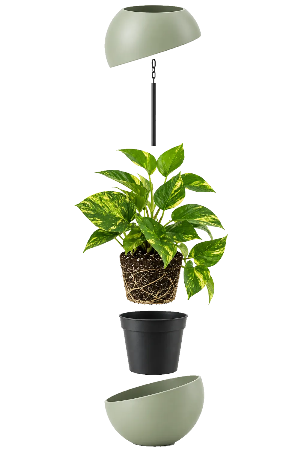 Globee Olive taken apart: top and bottom half, hanging rod, Epipremnum with root ball and inner pot