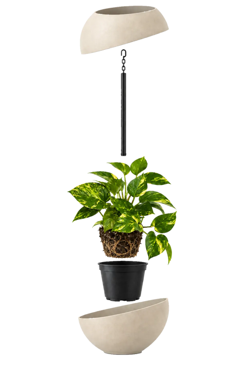 Globee Sand uit elkaar: bovenste en onderste helft, ophangstang, Epipremnum met wortelkluit en binnenpot. De plant zit er niet bij