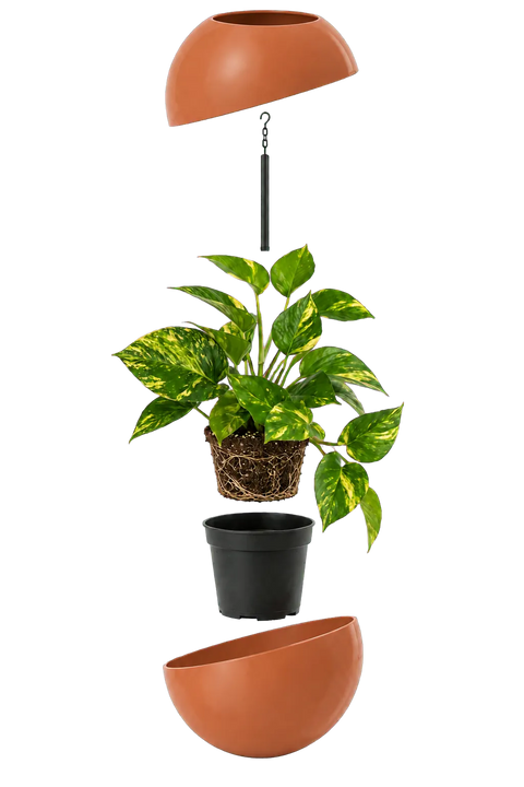 Globee Terracotta uit elkaar: bovenste en onderste helft, ophangstang, Epipremnum met wortelkluit en binnenpot. De plant zit er niet bij