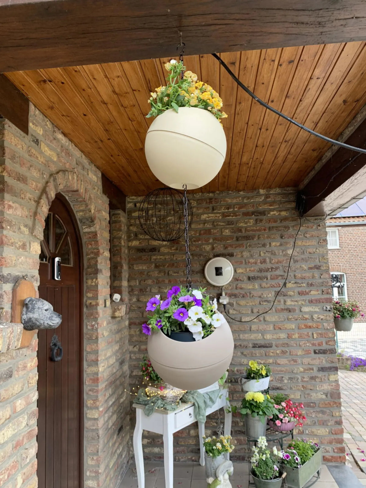 Foto van Pelssers Carina bij de review