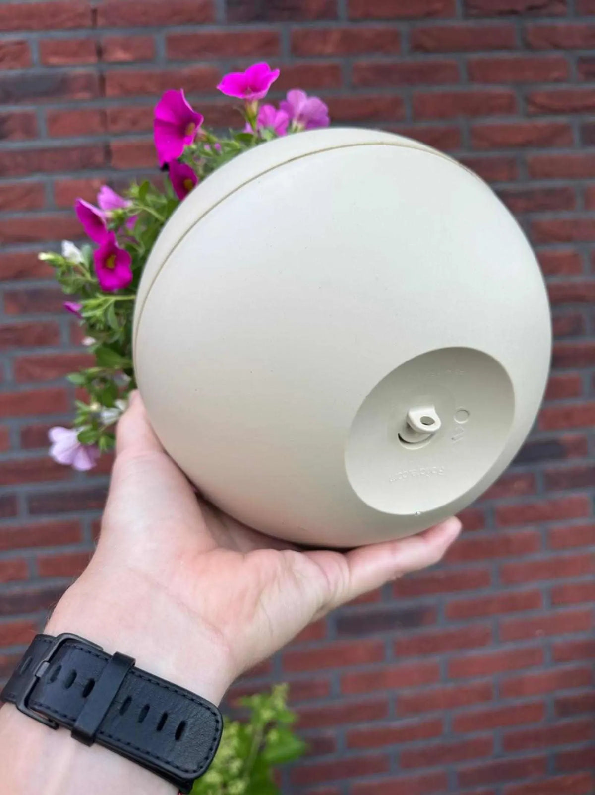 Een hand houdt een Globee {{ color }} vast met de onderkant naar voren