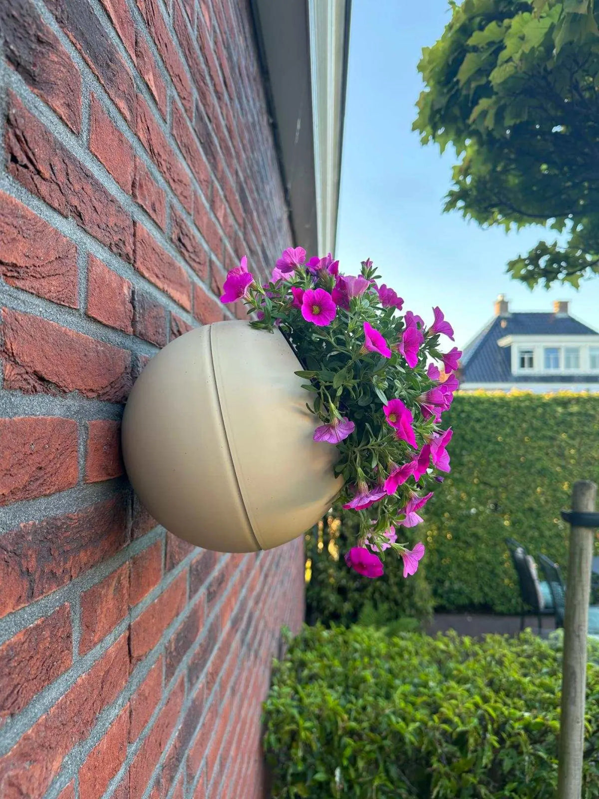 Globee {{ color }} met roze bloemen hangt aan een bakstenen muur